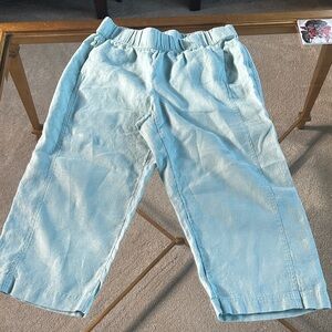J. Jill Sea Foam Green Capris